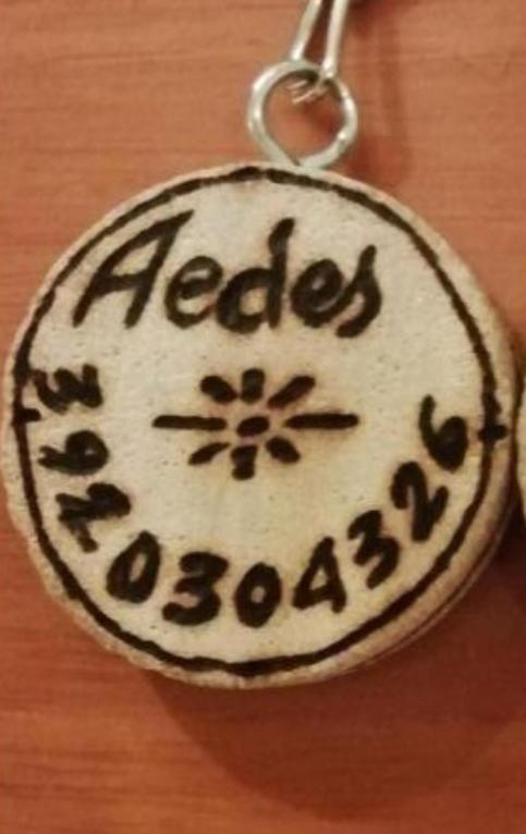 Gruppo Aedes Alghero, Residenza Michelangelo - 500 Mt Dalla Spiaggia Exteriér fotografie